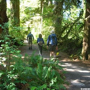 Hoh River Trail - August 2007