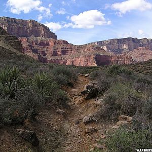 Tonto Trail