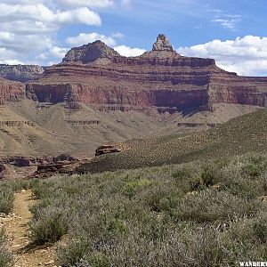 Tonto Trail