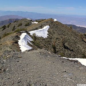 Telescope Peak Trail