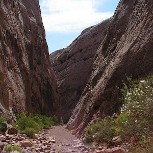 Capitol Gorge