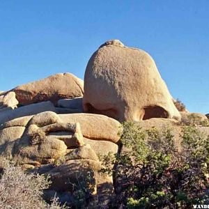 Can you see the skull peeking over the boulder?