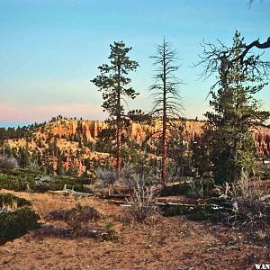 Heading from the North Campground to the Rim Trail one winter morning.