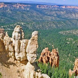 Hoodoos along the Bryce Rim