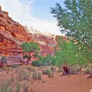 Horseshoe Canyon is a shady hike from the BLM Camp