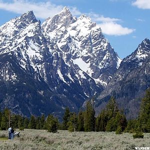 Cathedral Group of the Tetons