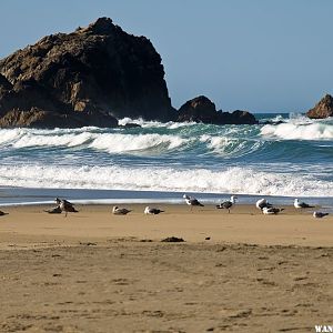 McClure Beach