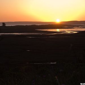 Sunset at Limantour Beach