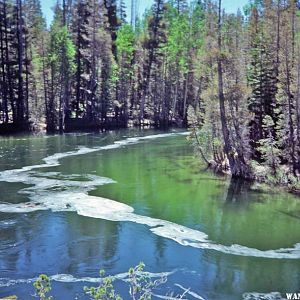 The Tuolumne River making is way to Hetch Hetchy