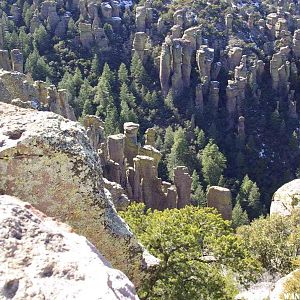 Hoodoos as seen from Inspiration Point