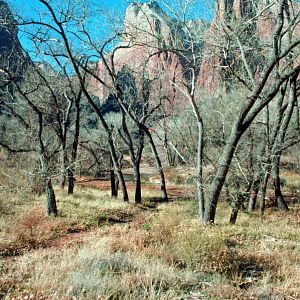 West Rim Trail--near the Grotto