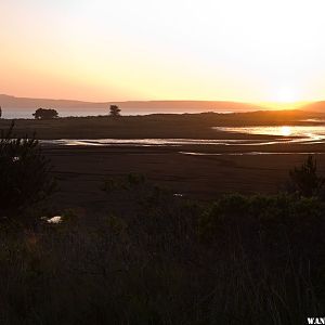 Limantour Beach