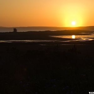 Limantour Beach at Sunset