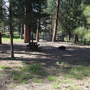 Scotts Campground - Ochoco Mountains