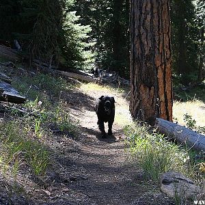 Black Canyon Trail - Ochoco Mountains