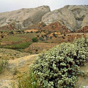 The Burr Trail climbs the reef through the notch