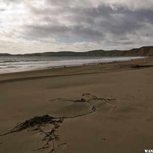 Drakes Beach and Clearing Storm