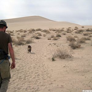 Hiking up the Dunes with Jade