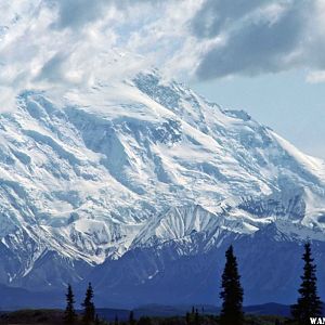 Denali from Wonder Lake