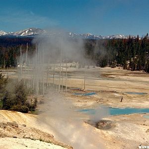 Norris Geyser Basin