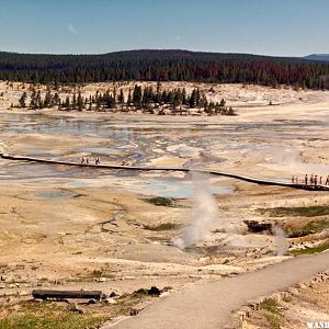 Norris Geyser Basin