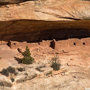 Horsecollar Ruin