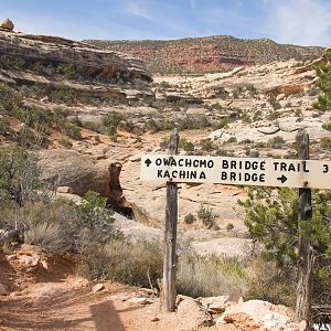 Along the Loop Trail