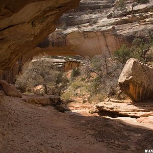 Approaching Kachina Bridge on the Loop Trail