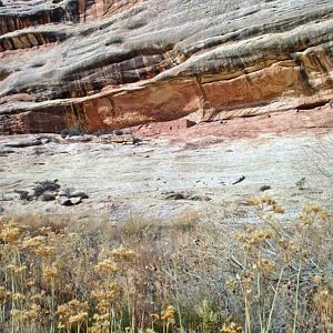 Horsecollar Ruin from Loop Trail