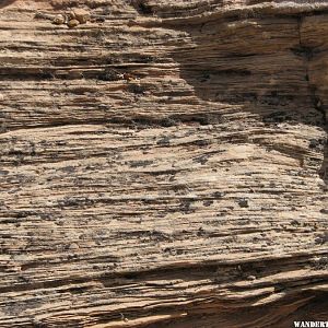 Sedimentary lines in the sandstone...