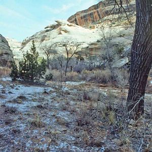 The Loop Trail on a Winter's Day