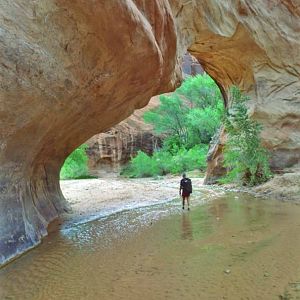 Coyote Natural Bridge in Coyote Canyon