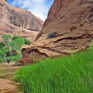 Lower Coyote Gulch