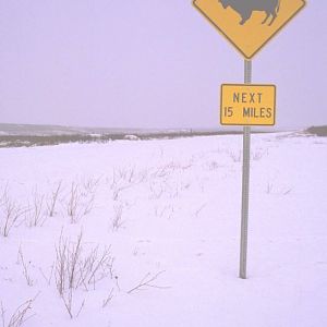 Winter at the South Entrance