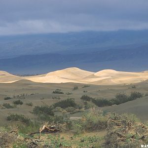 Storm over the Dunes