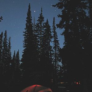 Camping and starlight