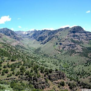 Wildhorse Gorge