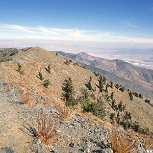 Telescope Peak Trail near the Summit