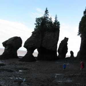 Hopewell Rocks, N.B. at low tide.  The tide rises 42' here.  Highest tides in the world.