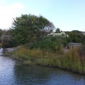 Looking along the Intercoastal Waterway