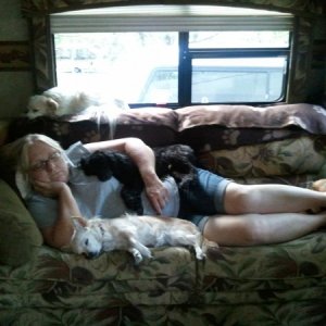 Dogs napping with Tina in the TT