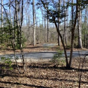 View from our picnic table