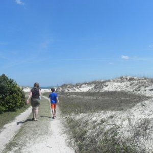 Headed on down the Georgia coast South to Cumberland Island, GA.  Take the ferry from St. Mary's, GA.  Wild horses run here.