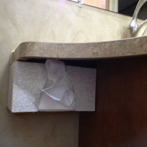 There is VERY little room on the counter of the 29RE so we did some magic in locating the tissue box under the counter.