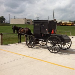 Amish in town shopping