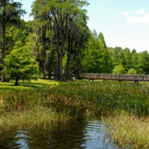 138 acre lake at Turkey lake Park