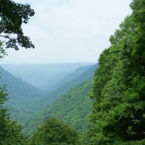 Down through the valley at Babcock State Park, WV