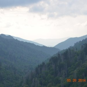 Along the Blue Ridge Parkway in NC