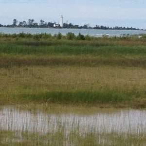 Along the lighthouse coast...between Sauble Beach and Port Elgin.