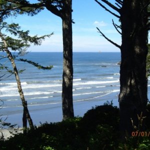 Kalaloch2